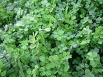 2008.3.25 003.jpg