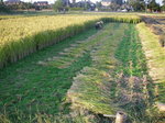 2007.10.21 051.jpg