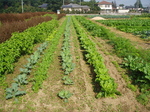 PA281285b.jpg